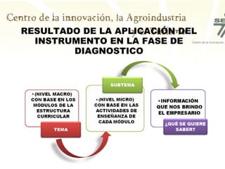 RESULTADO DE LA APLICACIÓN DEL
  INSTRUMENTO EN LA FASE DE
        DIAGNOSTICO
 