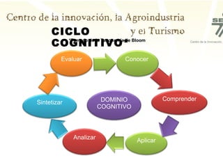 DOMINIO COGNITIVO Analizar Comprender Sintetizar Aplicar Conocer  Evaluar CICLO COGNITIVO* *Tomado de la Taxonomía de Bloom 