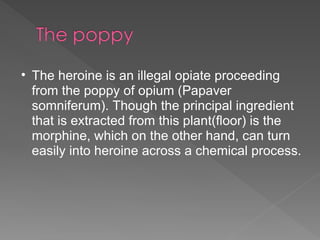 The heroine is an illegal opiate proceeding from the poppy of opium (Papaver somniferum). Though the principal ingredient that is extracted from this plant(floor) is the morphine, which on the other hand, can turn easily into heroine across a chemical process. 