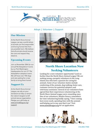 North Shore Animal League November 2016
North Shore Location Now
Seeking Volunteers
Looking	
  for	
  a	
  new	
  volunteer	
  opportunity?	
  Look	
  no	
  
further	
  than	
  the	
  North	
  Shore	
  Animal	
  League!	
  We	
  are	
  
seeking	
  young,	
  energetic	
  volunteers	
  in	
  the	
  Long	
  
Island	
  area	
  who	
  have	
  a	
  passion	
  for	
  caring	
  for	
  
animals.	
  Some	
  of	
  our	
  volunteer	
  duties	
  include	
  
comforting	
  of	
  the	
  animals,	
  dog	
  walking,	
  foster	
  care,	
  
customer	
  service	
  for	
  potential	
  adopters	
  and	
  
veterinary	
  assistance.	
  Several	
  of	
  our	
  volunteers	
  have	
  
agreed	
  that	
  their	
  experiences	
  volunteering	
  at	
  the	
  
North	
  Shore	
  Animal	
  League	
  were	
  rewarding	
  ones.	
  
One	
  of	
  our	
  volunteers,	
  Natalia	
  Gmuca,	
  remembers	
  
her	
  time	
  volunteering	
  fondly	
  saying,	
  “I	
  love	
  coming	
  
here	
  every	
  week,	
  spending	
  time	
  with	
  the	
  animals	
  
and	
  helping	
  out	
  in	
  any	
  way	
  that	
  I	
  can.”	
  Visit	
  
www.animalleague.org	
  for	
  an	
  application.	
  	
  
516-883-790025 Davis Ave, Port Washington NY 11050North Shore Animal League
Our Mission
At the North Shore Animal
League, we see a world where
al animals can ﬁnd responsible
and loving homes free from
any possible harm. We believe
that all animals should receive
the care and respect they
deserve.
Upcoming Events
Join us November 30th for our
annual Pet Adoptahon! Come
by our Port Washington
headquarters for our 21st Pet
Adoptathon adoption event.
We will have over 700 dogs
and cats waiting for a new
family to bring them home!
Support Us
At the North Shore Animal
League, we rely on your
donations to help us remain
the nation’s largest no-kill
animal rescue organization.
Pledge your gift today at
www.animalleague.org/
support
Adopt | Volunteer | Support
 