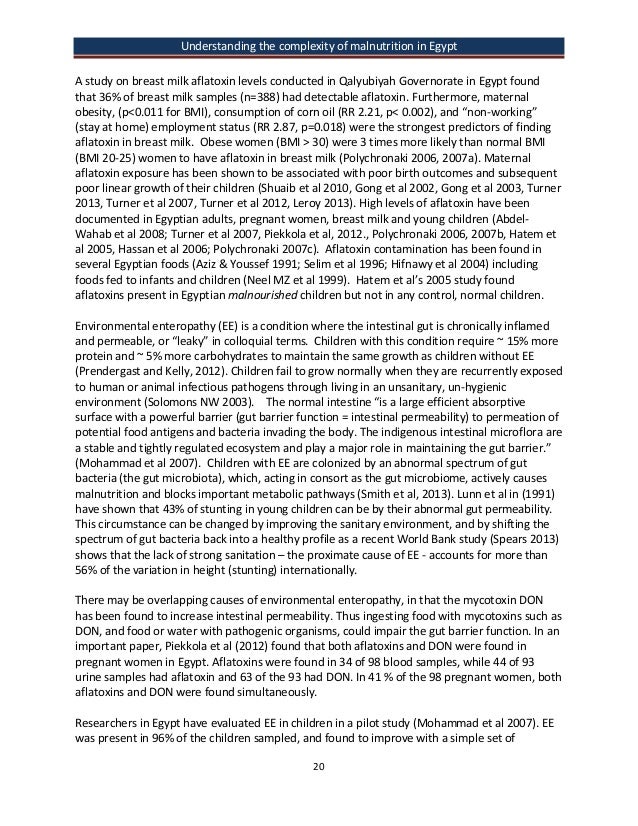 writing essay proposal generator