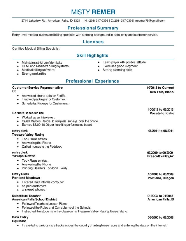 misty remer resume 2