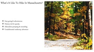 What’s It Like To Hike In Massachusetts?
❖ Easy-going & adventurous
❖ History-rich & spooky
❖ Adrenaline-pumping & rewarding
❖ Unadulterated outdoorsy adventure
 