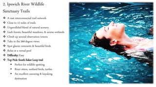 2. Ipswich River Wildlife
Sanctuary Trails
❖ A vast interconnected trail network
❖ Close to 12 miles of trails
❖ Unparalleled blend of natural scenery
❖ Lush forests, beautiful meadows, & serene wetlands
❖ Climb up several observation towers
❖ Take in the 360-degree views
❖ Spot glacier remnants & beautiful birds
❖ Relax at a vernal pool
❖ Difficulty: Easy
❖ Top Pick: South Esker Loop trail
▪ Perfect for wildlife spotting
▪ River otters, wetland birds, turtles
▪ An excellent canoeing & kayaking
destination
 