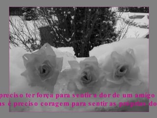 É preciso ter força para sentir a dor de um amigo Mas é preciso coragem para sentir as próprias dores 