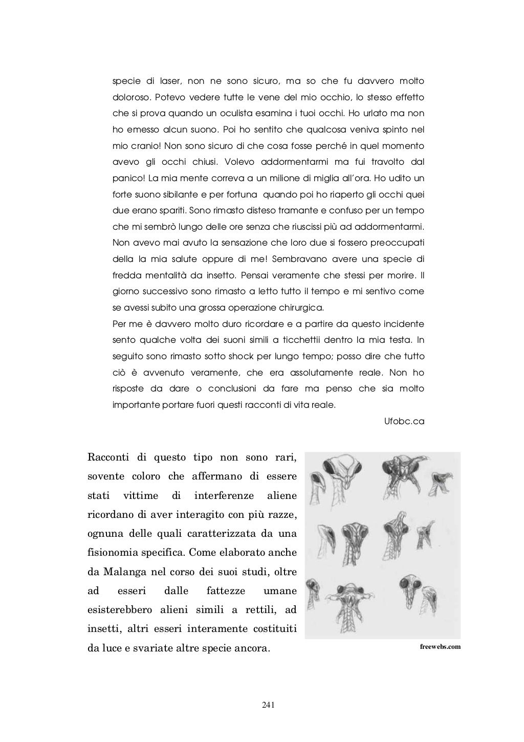 I Gufi Non Sono Quello Che Sembrano