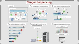 36220225015_C&MP Principles and application of Genomics and Proteomics.pdf