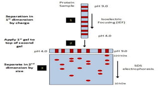 36220225015_C&MP Principles and application of Genomics and Proteomics.pdf