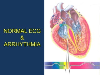 362467948-Cardiac-Emergency-ACLS-ppt.ppt