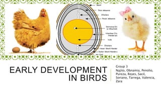 EARLY DEVELOPMENT
IN BIRDS
Group 3
Najito, Obnamia, Penolio,
Pureza, Reyes, Sacil,
Soriano, Tarrega, Valencia,
Zara
 
