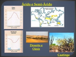 Árido e Semí-Árido Deserto e Oásis Caatinga 
