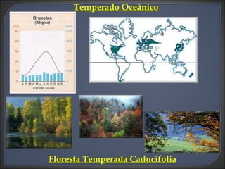 Temperado Oceânico Floresta Temperada Caducifolia 