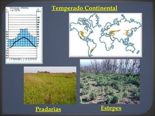 Temperado Continental Pradarias Estepes 