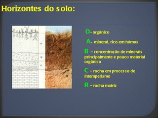 Horizontes do solo: O - orgânico   A -  mineral, rico em húmus B  – concentração de minerais principalmente e pouco material orgânico C   – rocha em processo de intemperismo R  – rocha matriz 