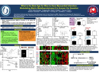 What is the Best Age for Mice to Have Myocardial Infarction: 
Modulating Matrix Metalloproteinase-9 to Answer the Question 
Andriy Yabluchanskiy1, Yonggang Ma1, Dustin R. Bratton1,, Ying Ann Chiao2, 
Andrew P. Voorhees1,3, Hai-Chao Han1,3, Yu-Fang Jin1,4, and Merry L. Lindsey1,5 
1 San Antonio Cardiovascular Proteomics Center, Mississippi Center for Heart Research, UMMC, 2Department of Pathology, UW, 3Department of 
Mechanical Engineering, UTSA, 4Department of Electrical and Computer Engineering, UTSA, and 5Research Service, G.V. (Sonny) Montgomery Veterans 
Affairs Medical Center 
INTRODUCTION 
• Matrix metalloproteinase (MMP)-9 increases in the aging left 
ventricle (LV) 
• MMP-9 deletion in young mice attenuates LV remodeling and 
improves cardiac function post-myocardial infarction (MI) 
Inputs: 
• C57BL/6J (WT, n=93) and 
MMP-9 Null (Null, n=95) mice, 
males and females, 11-36 month 
old 
• WT (n=12) and Null (n=11) mice, 
males and females, 3-6 month old 
(young mice, reference control) 
• Left anterior descending coronary 
artery ligation 
Output measurements: 
• Plasma MMP-9 protein levels 
• Infarct area and survival rate 
• LV function by echocardiography 
• RT quantitative PCR: infarcted 
LV and isolated macrophages 
• Immunohistology: MAC-3 
staining 
200 μm 
WT Null WT Null 
WT Null WT Null 
This study is supported by NIH/NHLBI SC2 HL101430, 
HL095852, HHSN 268201000036C (N01-HV-00244), 
R01HL075360,NIH HL051971, GM104357, and 
5I01BX000505. 
MMP-9 deletion improves LV remodeling post-MI in aged mice 
Figure 1. A). MMP-9 plasma 
levels at day 7 post-MI increased 
with age (n=45). B). Infarct area 
was similar between WT and 
Null groups, confirming similar 
initiating ischemic insult. C). Null 
mice showed improved survival. 
Infarct area (%) 
WT Null 
HYPOTHESIS 
METHODS 
RESULTS 
CONCLUSION 
Percent survival 
Days 
C 
Null 
75/85 
WT 
45/59 
% stained area 
p=0.041 
%change from baseline 
WT 
ESV 
r=0.38 
p=0.01 
Age (months) Age (months) 
0 10 20 30 
Figure 2. WT mice showed a linear increases in the extent of post- 
MI LV dilation with age, as evidenced by increases in change of end 
systolic volume (ESV; n=42), and a progressive decrease in the 
ejection fraction (EF; upper panel). MMP-9 deletion abolished the 
age relationship (n=75; lower panel). 
WT Null 
WT Null 
WT 
Null 
Aging + MI 
↑MMP-9 
LV dysfunction 
MMP-9 
deletion 
M2 macrophage 
polarization 
↑Inflammation 
0 Age (months) 36 0 Age (months) 36 
Ccl1 
Ccl6 
Ccl9 
Ccr1 
IL11 
IL1r2 
IL8rb 
Mif 
Pf4 
Figure 3. WT mice showed linear age-dependent increases in 3 
pro-inflammatory genes (red), while Null mice showed increases in 
3 pro-inflammatory genes (red) and 7 anti-inflammatory genes 
(blue). Sample sizes are n=22 for WT and n=35 for Null, all p<0.05. 
Macrophages 
p=0.12 
WT Null 
Figure 4. WT and Null 
mice showed similar 
numbers of 
macrophages in the LV 
infarct (p=0.12). 
2-ΔCt 
IL-1β (M1) 
p=0.11 
2-ΔCt 
TNF-α (M1) 
p=0.56 
2-ΔCt 
CD206 (M2) 
p=0.04 
2-ΔCt 
TGF-β (M2) 
p=0.01 
Figure 5. MMP-9 deletion did not affect the expression of 
M1 markers in isolated macrophages from the LV infarcts at 
day 7 post-MI (upper panel, red), but promoted the M2 
polarization (lower panel, blue). n=12 per group. 
0 10 20 30 40 
%change from baseline 
Age (months) 
Null 
ESV 
r=0.08 
p=0.47 
0 10 20 30 
Age (months) 
WT 
Plasma 
r=0.46 
p<0.001 
0 10 20 30 40 
MMP-9 (ng/mL) 
C3 
Ccl4 
Cx3cl1 
Ccl5 
A 
p=0.33 
* * 
200 μm 
ACKNOWLEDGEMENTS 
B 
Age (months) 
%change from baseline 
0 10 20 30 40 
%change from baseline 
WT 
EF 
r=-0.35 
p=0.02 
Null 
EF 
r=0.01 
p=0.91 
n=45 n=75 

