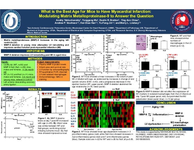 AY aha poster Final AY aha poster Final