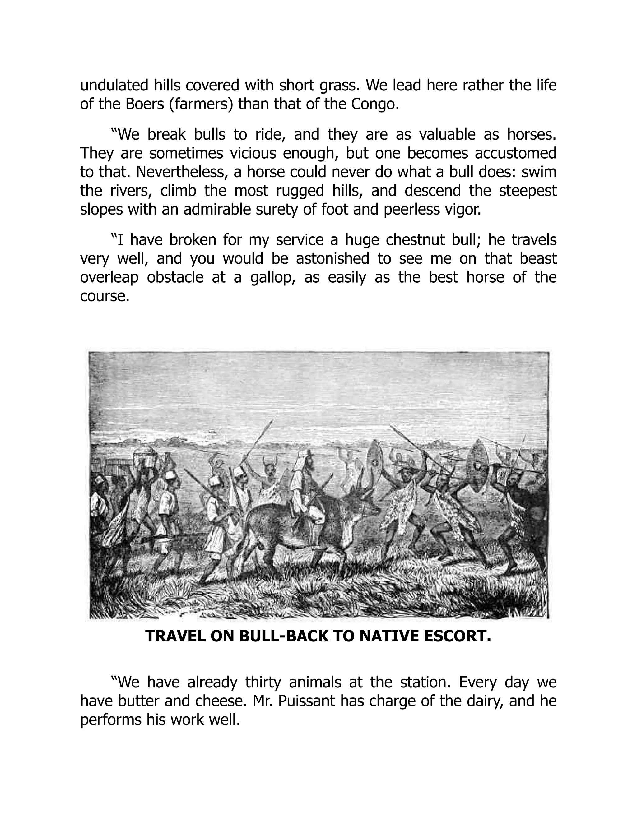 undulated hills covered with short grass. We lead here rather the life
of the Boers (farmers) than that of the Congo.
“We break bulls to ride, and they are as valuable as horses.
They are sometimes vicious enough, but one becomes accustomed
to that. Nevertheless, a horse could never do what a bull does: swim
the rivers, climb the most rugged hills, and descend the steepest
slopes with an admirable surety of foot and peerless vigor.
“I have broken for my service a huge chestnut bull; he travels
very well, and you would be astonished to see me on that beast
overleap obstacle at a gallop, as easily as the best horse of the
course.
TRAVEL ON BULL-BACK TO NATIVE ESCORT.
“We have already thirty animals at the station. Every day we
have butter and cheese. Mr. Puissant has charge of the dairy, and he
performs his work well.
 
