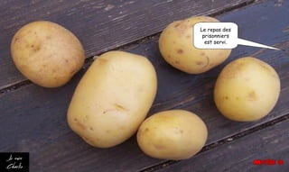 Le repas des
prisonniers
est servi.
 