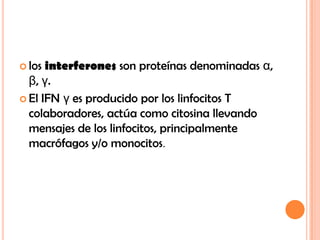 los interferones son proteínas denominadas α, β, γ.,[object Object],El IFN γ es producido por los linfocitos T colaboradores, actúa como citosina llevando mensajes de los linfocitos, principalmente macrófagos y/o monocitos.,[object Object]