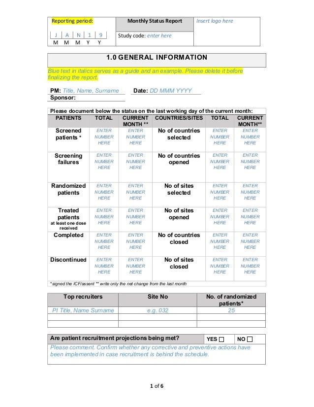 Monthly Status Report Template