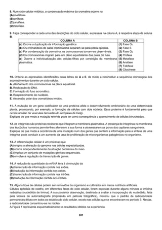 107
8. Num ciclo celular mitótico, a condensação máxima da cromatina ocorre na
(A) metáfase.
(B) prófase.
(C) anáfase.
(D) telófase.
9. Faça corresponder a cada uma das descrições do ciclo celular, expressas na coluna A, à respetiva etapa da coluna
B.
COLUNA A COLUNA B
(a) Ocorre a duplicação da informação genética.
(b) Os cromatídeos de cada cromossoma separam-se para polos opostos.
(c) Por condensação da cromatina, os cromossomas tornam-se observáveis.
(d) Os cromossomas migram para um plano equidistante dos polos do fuso.
(e) Ocorre a individualização das células-filhas por constrição da membrana
plasmática.
(1) Fase G1
(2) Fase S
(3) Fase G2
(4) Profase
(5) Metafase
(6) Anafase
(7) Telofase
(8) Citocinese
10. Ordene as expressões identificadas pelas letras de A a E, de modo a reconstituir a sequência cronológica dos
acontecimentos durante um ciclo celular.
A. Alinhamento dos cromossomas na placa equatorial.
B. Replicação do DNA.
C. Formação do fuso acromático.
D. Reaparecimento do nucléolo.
E. Ascensão polar dos cromatídeos irmãos.
11. A mutação de um gene codificador de uma proteína afeta o desenvolvimento embrionário de uma determinada
planta, provocando, por exemplo, a formação de células com dois núcleos. Essa proteína é fundamental para que
ocorra a fusão de vesículas derivadas do complexo de Golgi.
Explique de que modo a mutação referida pode ter como consequência o aparecimento de células binucleadas.
12. As integrinas são proteínas recetoras que integram a membrana plasmática. A presença de integrinas na membrana
dos leucócitos humanos permite-lhes alterarem a sua forma e atravessarem os poros dos capilares sanguíneos.
Explique de que modo a ocorrência de uma mutação num dos genes que contém a informação para a síntese de uma
integrina pode conduzir a um aumento da taxa de proliferação de microrganismos patogénicos no organismo.
13. A diferenciação celular é um processo que
(A) origina a alteração do genoma nas células especializadas.
(B) ocorre independentemente da atuação de fatores do meio.
(C) implica um conjunto de mutações génicas sequenciais.
(D) envolve a regulação da transcrição de genes.
14. A redução da quantidade do mRNA leva à diminuição da
(A) transcrição da informação contida nos exões.
(B) tradução da informação contida nos exões.
(C) transcrição da informação contida nos intrões.
(D) tradução da informação contida nos intrões.
15. Alguns tipos de células podem ser removidos do organismo e cultivados em meios nutritivos artificiais.
Células epiteliais de coelho, em diferentes fases do ciclo celular, foram expostas durante alguns minutos a timidina
radioativa (nucleótido de timina). A sua posterior observação, destinada a avaliar a incorporação do nucleótido, feita
pela técnica de autorradiografia (impressão em película fotográfica), mostrou que o padrão de radioatividade
permaneceu difuso em todos os estádios do ciclo celular, exceto nas células que se encontravam no período S. Nestas,
a radioatividade concentrou-se no núcleo.
A Figura 1 representa esquematicamente os resultados obtidos na experiência.
 