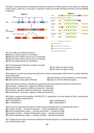111
Na Figura 4, está representada a produção de diferentes moléculas de mRNA a partir do mesmo gene, em diferentes
tecidos. Assim, a partir de um único gene, o organismo é capaz de conceber diferentes proteínas cuja funcionalidade
é específica.
18.1. Um codão é um tripleto de bases de
(A) DNA que codifica apenas um aminoácido.
(B) RNA que pode codificar mais do que um aminoácido.
(C) DNA que pode codificar mais do que um aminoácido.
(D) RNA que codifica apenas um aminoácido.
18.2. O processamento alternativo consiste na remoção
(A) apenas de intrões.
(B) apenas de exões.
(C) dos intrões e de alguns exões.
(D) dos exões e de alguns intrões.
18.3. Segundo o modelo do processamento alternativo, durante a diferenciação celular formam-se células diferentes,
porque cada célula
(A) possui diferentes tipos de genes.
(B) pode expressar apenas genes diferentes.
(C) pode expressar de forma diferente os mesmos genes.
(D) possui um número diferente de genes.
18.4. Numa célula eucariótica, a sequência dos acontecimentos que conduzem à síntese de uma proteína é
(A) transcrição - processamento - ligação do mRNA aos ribossomas.
(B) processamento - ligação do mRNA aos ribossomas - transcrição.
(C) transcrição - ligação do mRNA aos ribossomas - processamento.
(D) processamento - transcrição - ligação do mRNA aos ribossomas.
18.5. Dada a sequência de nucleótidos 5' AATGCCTTG 3', pertencente a uma das cadeias de DNA, a sequência de
nucleótidos da cadeia complementar é
(A) 5' TTACGGAAC 3'.
(B) 3' TTACGGAAC 5'.
(C) 5' UUACGGAAC 3'.
(D) 3' UUACGGAAC 5'.
18.6. O percurso sequencial das proteínas, desde que são sintetizadas até à sua secreção pela célula, é
(A) complexo de Golgi — vesículas de exocitose — retículo endoplasmático rugoso.
(B) retículo endoplasmático rugoso — vesículas de exocitose — complexo de Golgi.
(C) complexo de Golgi — retículo endoplasmático rugoso — vesículas de exocitose.
(D) retículo endoplasmático rugoso — complexo de Golgi — vesículas de exocitose.
18.7. Explique de que modo o processo de inibição da transcrição de genes e o processamento alternativo contribuem
para a diferenciação celular.
Figura 3 Figura 4
 