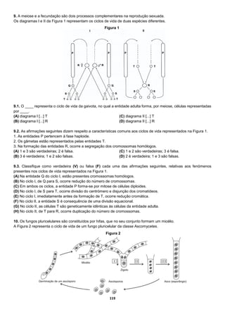 119
9. A meiose e a fecundação são dois processos complementares na reprodução sexuada.
Os diagramas I e II da Figura 1 representam os ciclos de vida de duas espécies diferentes.
9.1. O ____ representa o ciclo de vida da gaivota, no qual a entidade adulta forma, por meiose, células representadas
por ____.
(A) diagrama I [...] T
(B) diagrama I [...] R
(C) diagrama II [...] T
(D) diagrama II [...] R
9.2. As afirmações seguintes dizem respeito a características comuns aos ciclos de vida representados na Figura 1.
1. As entidades P pertencem à fase haploide.
2. Os gâmetas estão representados pelas entidades T.
3. Na formação das entidades R, ocorre a segregação dos cromossomas homólogos.
(A) 1 e 3 são verdadeiras; 2 é falsa.
(B) 3 é verdadeira; 1 e 2 são falsas.
(C) 1 e 2 são verdadeiras; 3 é falsa.
(D) 2 é verdadeira; 1 e 3 são falsas.
9.3. Classifique como verdadeira (V) ou falsa (F) cada uma das afirmações seguintes, relativas aos fenómenos
presentes nos ciclos de vida representados na Figura 1.
(A) Na entidade Q do ciclo I, estão presentes cromossomas homólogos.
(B) No ciclo I, de Q para S, ocorre redução do número de cromossomas.
(C) Em ambos os ciclos, a entidade P forma-se por mitose de células diploides.
(D) No ciclo I, de S para T, ocorre divisão do centrómero e disjunção dos cromatídeos.
(E) No ciclo I, imediatamente antes da formação de T, ocorre redução cromática.
(F) No ciclo II, a entidade S é consequência de uma divisão equacional.
(G) No ciclo II, as células T são geneticamente idênticas às células da entidade adulta.
(H) No ciclo II, de T para R, ocorre duplicação do número de cromossomas.
10. Os fungos pluricelulares são constituídos por hifas, que no seu conjunto formam um micélio.
A Figura 2 representa o ciclo de vida de um fungo pluricelular da classe Ascomycetes.
Figura 1
Figura 2
 