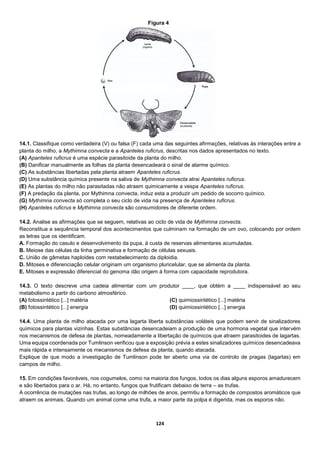 124
14.1. Classifique como verdadeira (V) ou falsa (F) cada uma das seguintes afirmações, relativas às interações entre a
planta do milho, a Mythimna convecta e a Apanteles ruficrus, descritas nos dados apresentados no texto.
(A) Apanteles ruficrus é uma espécie parasitoide da planta do milho.
(B) Danificar manualmente as folhas da planta desencadeará o sinal de alarme químico.
(C) As substâncias libertadas pela planta atraem Apanteles ruficrus.
(D) Uma substância química presente na saliva de Mythimna convecta atrai Apanteles ruficrus.
(E) As plantas do milho não parasitadas não atraem quimicamente a vespa Apanteles ruficrus.
(F) A predação da planta, por Mythimna convecta, induz esta a produzir um pedido de socorro químico.
(G) Mythimna convecta só completa o seu ciclo de vida na presença de Apanteles ruficrus.
(H) Apanteles ruficrus e Mythimna convecta são consumidores de diferente ordem.
14.2. Analise as afirmações que se seguem, relativas ao ciclo de vida de Mythimna convecta.
Reconstitua a sequência temporal dos acontecimentos que culminam na formação de um ovo, colocando por ordem
as letras que os identificam.
A. Formação do casulo e desenvolvimento da pupa, à custa de reservas alimentares acumuladas.
B. Meiose das células da linha germinativa e formação de células sexuais.
C. União de gâmetas haploides com restabelecimento da diploidia.
D. Mitoses e diferenciação celular originam um organismo pluricelular, que se alimenta da planta.
E. Mitoses e expressão diferencial do genoma dão origem à forma com capacidade reprodutora.
14.3. O texto descreve uma cadeia alimentar com um produtor ____, que obtém a ____ indispensável ao seu
metabolismo a partir do carbono atmosférico.
(A) fotossintético [...] matéria
(B) fotossintético [...] energia
(C) quimiossintético [...] matéria
(D) quimiossintético [...] energia
14.4. Uma planta de milho atacada por uma lagarta liberta substâncias voláteis que podem servir de sinalizadores
químicos para plantas vizinhas. Estas substâncias desencadeiam a produção de uma hormona vegetal que intervém
nos mecanismos de defesa de plantas, nomeadamente a libertação de químicos que atraem parasitoides de lagartas.
Uma equipa coordenada por Tumlinson verificou que a exposição prévia a estes sinalizadores químicos desencadeava
mais rápida e intensamente os mecanismos de defesa da planta, quando atacada.
Explique de que modo a investigação de Tumlinson pode ter aberto uma via de controlo de pragas (lagartas) em
campos de milho.
15. Em condições favoráveis, nos cogumelos, como na maioria dos fungos, todos os dias alguns esporos amadurecem
e são libertados para o ar. Há, no entanto, fungos que frutificam debaixo de terra – as trufas.
A ocorrência de mutações nas trufas, ao longo de milhões de anos, permitiu a formação de compostos aromáticos que
atraem os animais. Quando um animal come uma trufa, a maior parte da polpa é digerida, mas os esporos não.
Figura 4
 