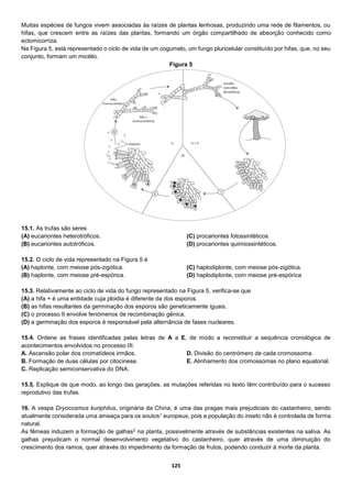 125
Muitas espécies de fungos vivem associadas às raízes de plantas lenhosas, produzindo uma rede de filamentos, ou
hifas, que crescem entre as raízes das plantas, formando um órgão compartilhado de absorção conhecido como
ectomicorriza.
Na Figura 5, está representado o ciclo de vida de um cogumelo, um fungo pluricelular constituído por hifas, que, no seu
conjunto, formam um micélio.
15.1. As trufas são seres
(A) eucariontes heterotróficos.
(B) eucariontes autotróficos.
(C) procariontes fotossintéticos.
(D) procariontes quimiossintéticos.
15.2. O ciclo de vida representado na Figura 5 é
(A) haplonte, com meiose pós-zigótica.
(B) haplonte, com meiose pré-espórica.
(C) haplodiplonte, com meiose pós-zigótica.
(D) haplodiplonte, com meiose pré-espórica
15.3. Relativamente ao ciclo de vida do fungo representado na Figura 5, verifica-se que
(A) a hifa + é uma entidade cuja ploidia é diferente da dos esporos.
(B) as hifas resultantes da germinação dos esporos são geneticamente iguais.
(C) o processo II envolve fenómenos de recombinação génica.
(D) a germinação dos esporos é responsável pela alternância de fases nucleares.
15.4. Ordene as frases identificadas pelas letras de A a E, de modo a reconstituir a sequência cronológica de
acontecimentos envolvidos no processo III.
A. Ascensão polar dos cromatídeos irmãos.
B. Formação de duas células por citocinese.
C. Replicação semiconservativa do DNA.
D. Divisão do centrómero de cada cromossoma.
E. Alinhamento dos cromossomas no plano equatorial.
15.5. Explique de que modo, ao longo das gerações, as mutações referidas no texto têm contribuído para o sucesso
reprodutivo das trufas.
16. A vespa Dryocosmus kuriphilus, originária da China, é uma das pragas mais prejudiciais do castanheiro, sendo
atualmente considerada uma ameaça para os soutos1 europeus, pois a população do inseto não é controlada de forma
natural.
As fêmeas induzem a formação de galhas2 na planta, possivelmente através de substâncias existentes na saliva. As
galhas prejudicam o normal desenvolvimento vegetativo do castanheiro, quer através de uma diminuição do
crescimento dos ramos, quer através do impedimento da formação de frutos, podendo conduzir à morte da planta.
Figura 5
 