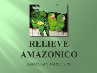 RELIEVE
AMAZONICO
ANUAL SAN MARCOS BCF
 