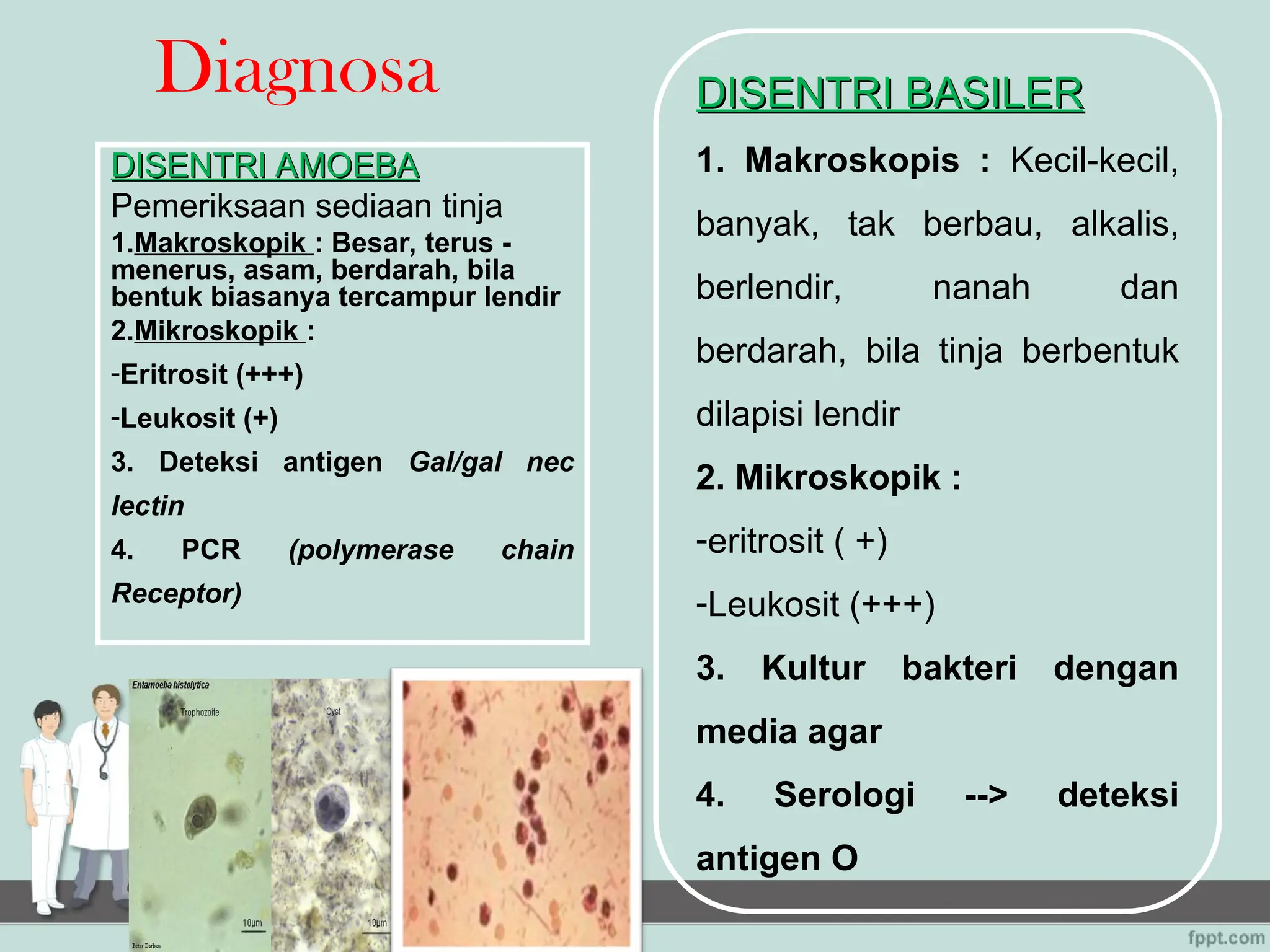 All about disentri, pengobatan, dan pencegahan | PPT