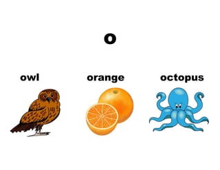 o
owl orange octopus
 