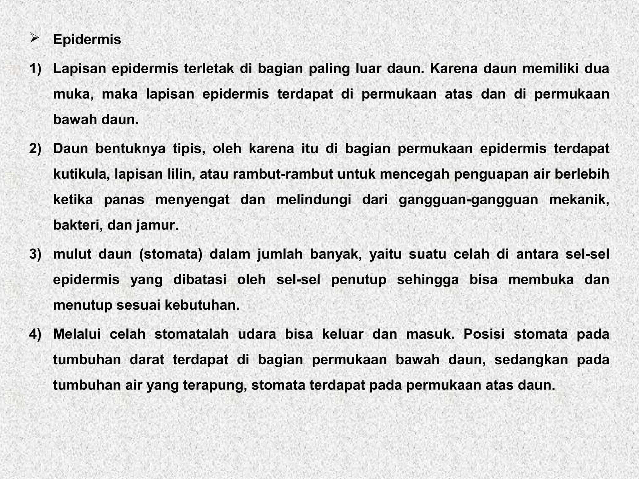  Epidermis
1) Lapisan epidermis terletak di bagian paling luar daun. Karena daun memiliki dua
muka, maka lapisan epidermis terdapat di permukaan atas dan di permukaan
bawah daun.
2) Daun bentuknya tipis, oleh karena itu di bagian permukaan epidermis terdapat
kutikula, lapisan lilin, atau rambut-rambut untuk mencegah penguapan air berlebih
ketika panas menyengat dan melindungi dari gangguan-gangguan mekanik,
bakteri, dan jamur.
3) mulut daun (stomata) dalam jumlah banyak, yaitu suatu celah di antara sel-sel
epidermis yang dibatasi oleh sel-sel penutup sehingga bisa membuka dan
menutup sesuai kebutuhan.
4) Melalui celah stomatalah udara bisa keluar dan masuk. Posisi stomata pada
tumbuhan darat terdapat di bagian permukaan bawah daun, sedangkan pada
tumbuhan air yang terapung, stomata terdapat pada permukaan atas daun.
 
