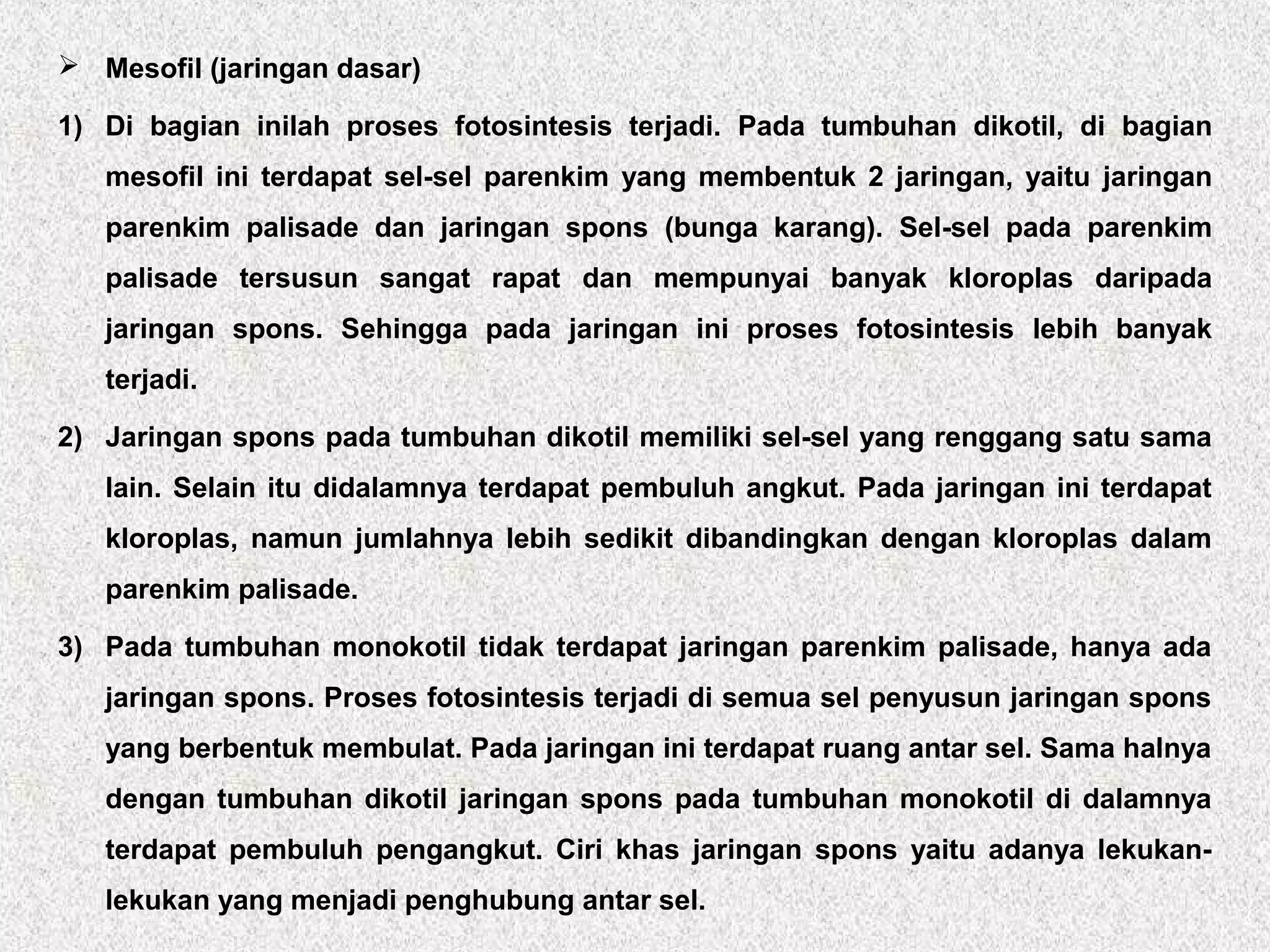  Mesofil (jaringan dasar)
1) Di bagian inilah proses fotosintesis terjadi. Pada tumbuhan dikotil, di bagian
mesofil ini terdapat sel-sel parenkim yang membentuk 2 jaringan, yaitu jaringan
parenkim palisade dan jaringan spons (bunga karang). Sel-sel pada parenkim
palisade tersusun sangat rapat dan mempunyai banyak kloroplas daripada
jaringan spons. Sehingga pada jaringan ini proses fotosintesis lebih banyak
terjadi.
2) Jaringan spons pada tumbuhan dikotil memiliki sel-sel yang renggang satu sama
lain. Selain itu didalamnya terdapat pembuluh angkut. Pada jaringan ini terdapat
kloroplas, namun jumlahnya lebih sedikit dibandingkan dengan kloroplas dalam
parenkim palisade.
3) Pada tumbuhan monokotil tidak terdapat jaringan parenkim palisade, hanya ada
jaringan spons. Proses fotosintesis terjadi di semua sel penyusun jaringan spons
yang berbentuk membulat. Pada jaringan ini terdapat ruang antar sel. Sama halnya
dengan tumbuhan dikotil jaringan spons pada tumbuhan monokotil di dalamnya
terdapat pembuluh pengangkut. Ciri khas jaringan spons yaitu adanya lekukan-
lekukan yang menjadi penghubung antar sel.
 