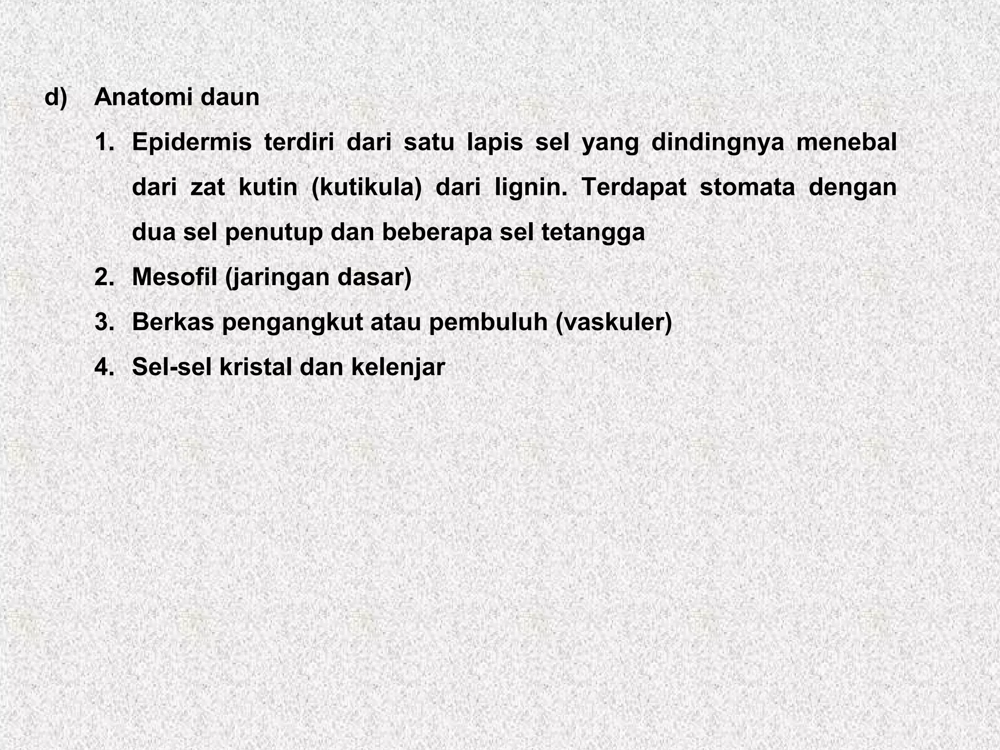 d) Anatomi daun
1. Epidermis terdiri dari satu lapis sel yang dindingnya menebal
dari zat kutin (kutikula) dari lignin. Terdapat stomata dengan
dua sel penutup dan beberapa sel tetangga
2. Mesofil (jaringan dasar)
3. Berkas pengangkut atau pembuluh (vaskuler)
4. Sel-sel kristal dan kelenjar
 