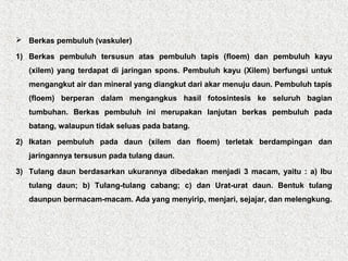  Berkas pembuluh (vaskuler)
1) Berkas pembuluh tersusun atas pembuluh tapis (floem) dan pembuluh kayu
(xilem) yang terdapat di jaringan spons. Pembuluh kayu (Xilem) berfungsi untuk
mengangkut air dan mineral yang diangkut dari akar menuju daun. Pembuluh tapis
(floem) berperan dalam mengangkus hasil fotosintesis ke seluruh bagian
tumbuhan. Berkas pembuluh ini merupakan lanjutan berkas pembuluh pada
batang, walaupun tidak seluas pada batang.
2) Ikatan pembuluh pada daun (xilem dan floem) terletak berdampingan dan
jaringannya tersusun pada tulang daun.
3) Tulang daun berdasarkan ukurannya dibedakan menjadi 3 macam, yaitu : a) Ibu
tulang daun; b) Tulang-tulang cabang; c) dan Urat-urat daun. Bentuk tulang
daunpun bermacam-macam. Ada yang menyirip, menjari, sejajar, dan melengkung.
 