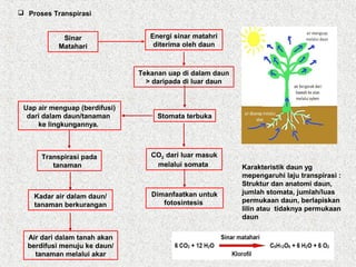 Energi sinar matahri
diterima oleh daun
Stomata terbuka
Tekanan uap di dalam daun
> daripada di luar daun
Uap air menguap (berdifusi)
dari dalam daun/tanaman
ke lingkungannya.
Sinar
Matahari
Kadar air dalam daun/
tanaman berkurangan
Air dari dalam tanah akan
berdifusi menuju ke daun/
tanaman melalui akar
Transpirasi pada
tanaman
 Proses Transpirasi
CO2 dari luar masuk
melalui somata
Dimanfaatkan untuk
fotosintesis
Karakteristik daun yg
mepengaruhi laju transpirasi :
Struktur dan anatomi daun,
jumlah stomata, jumlah/luas
permukaan daun, berlapiskan
lilin atau tidaknya permukaan
daun
 
