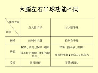 大腦左右半球功能不同 實體感消失 語言障礙 受損 形態的理解 ; 洞察力 ; 想像力 科學技巧瞭解 ; 使用符號語言 ; 音樂 ; 藝術感 ; 空間 ; 說話 ; 書寫 ; 數字 ; 邏輯 功能 控制左半邊 控制右半邊 軀幹 右大腦半球 左大腦半球 優勢大腦 比較 