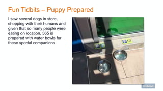 Fun Tidbits – Puppy Prepared
I saw several dogs in store,
shopping with their humans and
given that so many people were
ea...