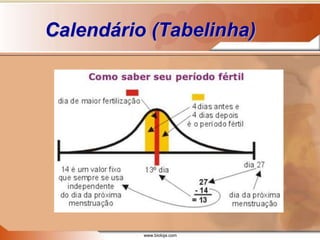 www.bioloja.com
Calendário (Tabelinha)
 
