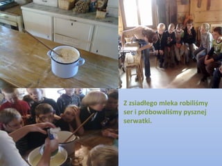 Z zsiadłego mleka robiliśmy
ser i próbowaliśmy pysznej
serwatki.
 