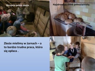 Skrzynia pełna zboża .         Najzdrowszy chleb pełnoziarnisty.




Zboże mielimy w żarnach – a
to bardzo trudna praca, która
się opłaca .
 