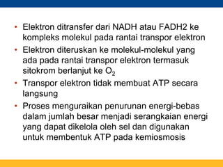 • Elektron ditransfer dari NADH atau FADH2 ke
kompleks molekul pada rantai transpor elektron
• Elektron diteruskan ke molekul-molekul yang
ada pada rantai transpor elektron termasuk
sitokrom berlanjut ke O2
• Transpor elektron tidak membuat ATP secara
langsung
• Proses menguraikan penurunan energi-bebas
dalam jumlah besar menjadi serangkaian energi
yang dapat dikelola oleh sel dan digunakan
untuk membentuk ATP pada kemiosmosis
 