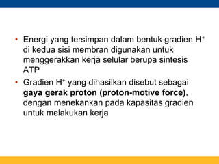 • Energi yang tersimpan dalam bentuk gradien H+
di kedua sisi membran digunakan untuk
menggerakkan kerja selular berupa sintesis
ATP
• Gradien H+ yang dihasilkan disebut sebagai
gaya gerak proton (proton-motive force),
dengan menekankan pada kapasitas gradien
untuk melakukan kerja
 