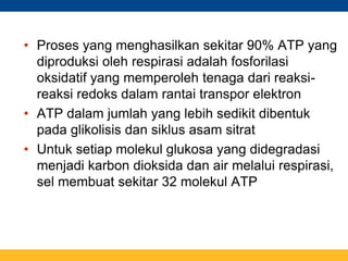 • Proses yang menghasilkan sekitar 90% ATP yang
diproduksi oleh respirasi adalah fosforilasi
oksidatif yang memperoleh tenaga dari reaksi-
reaksi redoks dalam rantai transpor elektron
• ATP dalam jumlah yang lebih sedikit dibentuk
pada glikolisis dan siklus asam sitrat
• Untuk setiap molekul glukosa yang didegradasi
menjadi karbon dioksida dan air melalui respirasi,
sel membuat sekitar 32 molekul ATP
 