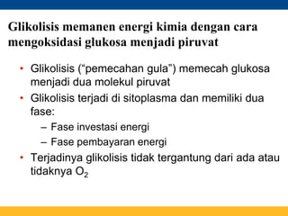 Glikolisis memanen energi kimia dengan cara
mengoksidasi glukosa menjadi piruvat
• Glikolisis (“pemecahan gula”) memecah glukosa
menjadi dua molekul piruvat
• Glikolisis terjadi di sitoplasma dan memiliki dua
fase:
– Fase investasi energi
– Fase pembayaran energi
• Terjadinya glikolisis tidak tergantung dari ada atau
tidaknya O2
 
