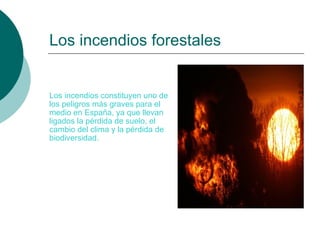 Los incendios forestales Los incendios constituyen uno de los peligros más graves para el medio en España, ya que llevan ligados la pérdida de suelo, el cambio del clima y la pérdida de biodiversidad. 