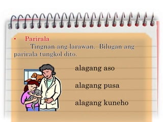 alagang aso
alagang pusa
alagang kuneho
 