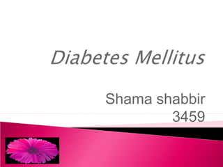 Shama shabbir
3459
 