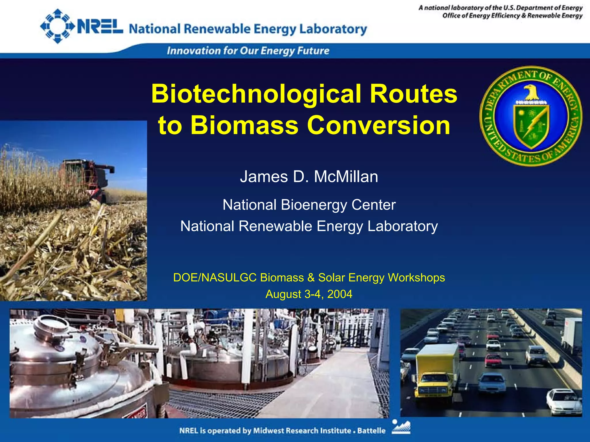 Biotechnological Routes to Biomass Conversion | PDF
